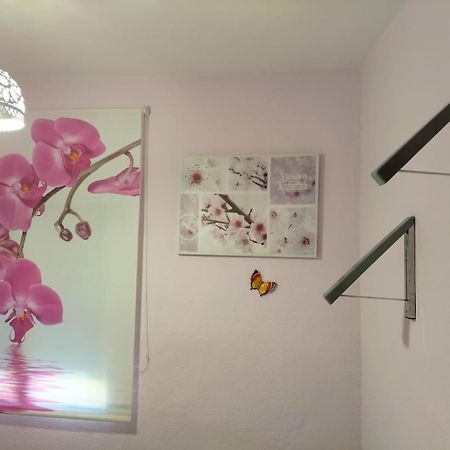 La Casita De Ana. Puerta Valencia. Casco Antiguo Villa Cuenca  Buitenkant foto